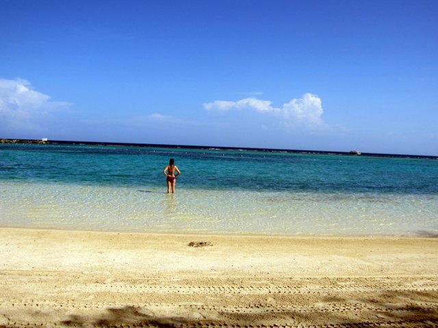 Angel & Stephanie's Dive Trip to Isla de Roatan, October 2014